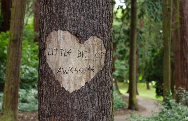 A Little Bit of Awesome: 3/12/2020 Edition