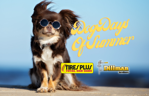 Dog Days of Summer FINALS!